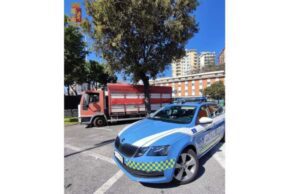 La Stradale ferma mezzo per il trasporto di animali per irregolarità La Stradale ferma mezzo per il trasporto di animali per irregolarità