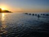 Alassio Experience: natura, cultura, biodiversità, eccellenti risorse per un turismo sostenibile anche in Liguria