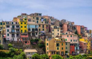 100 nuovi alberi a Corniglia Corniglia