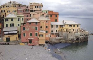 Le spiagge di Genova invase dalle Velelle: il mare è pulito Turismo a Genova, modificata l’imposta di soggiorno
