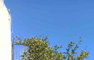 Ho incontrato Carlo Maglitto: il poeta del confine interno