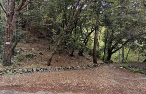 Guardia zoofila trova cadavere di un cane al Righi Mistero al Parco del Peralto: campeggiatore ferito da colpo di pistola