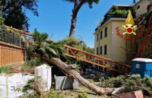 Gru caduta a Santa Margherita: i VVF mettono in sicurezza cantiere Gru caduta a Santa Margherita, i VVF mettono in sicurezza cantiere