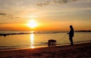 Da Casa Sanremo alla Festa del Libro di Ostia per il centenario di Italo Calvino Da Casa Sanremo alla Festa del Libro di Ostia per il centenario di Italo Calvino