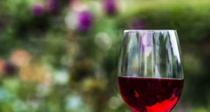 Negli ultimi dieci anni, le produzioni di vini biologici in Italia sono cresciute del 110%, e il trend non sembra registrare battute d’arresto