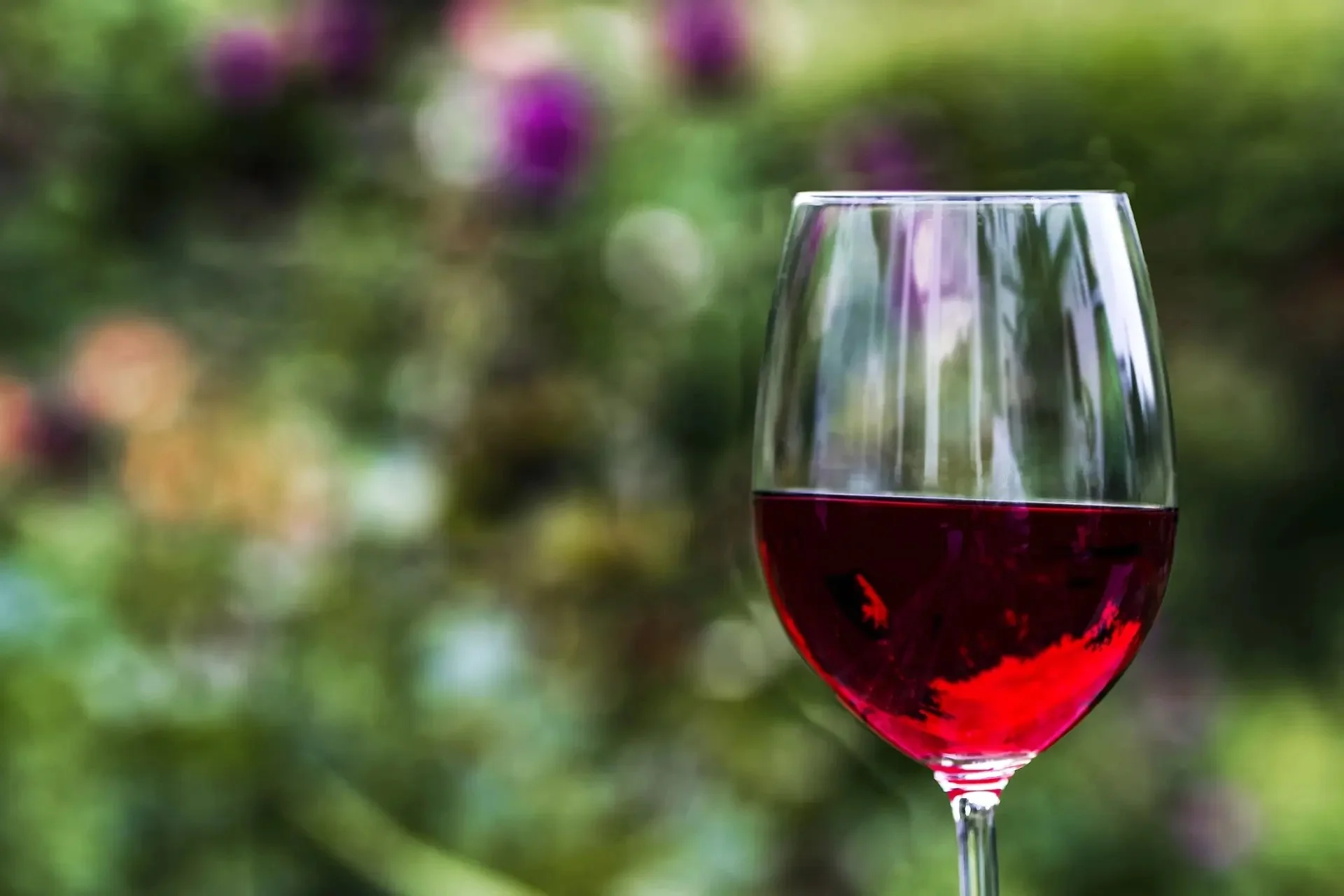 Negli ultimi dieci anni, le produzioni di vini biologici in Italia sono cresciute del 110%, e il trend non sembra registrare battute d’arresto