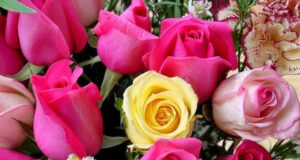 Quest’anno 2 italiani su 3 hanno scelto come regalo per le loro mamme i fiori nostrani, i dati son in crescita anche in Liguria