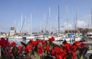 Yacht & Garden fino al 21 maggio a Marina Genova Yacht & Garden fino al 21 maggio a Marina Genova