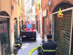A fuoco appartamento in via Ravecca, muore un gatto