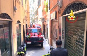 A fuoco appartamento in via Ravecca, muore un gatto A fuoco appartamento in via Ravecca, muore un gatto