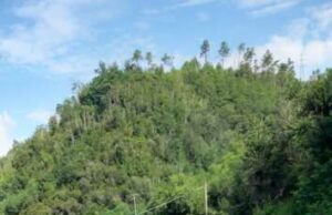 Riapre SP566 in località Sciarpato nel Comune di Sesta Godano Strada Provinciale SP566