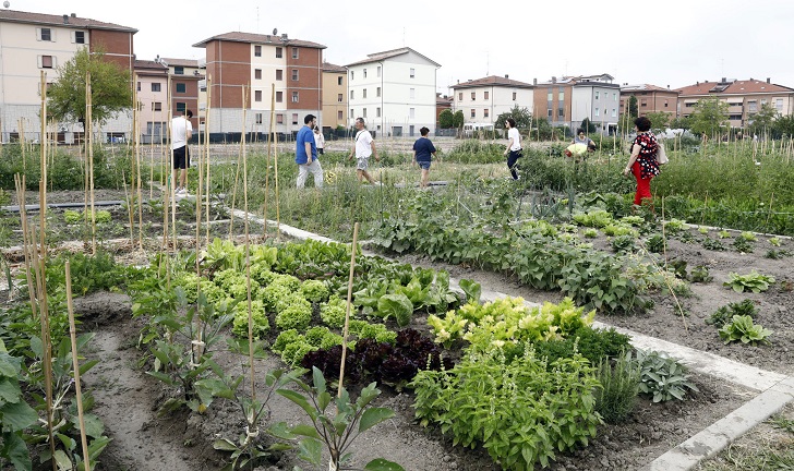 Recco, i terreni incolti del Comune diventano orti urbani