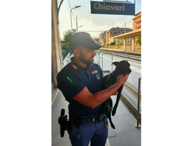 Cane smarrito ritrovato dalla Polizia nella stazione di Chiavari