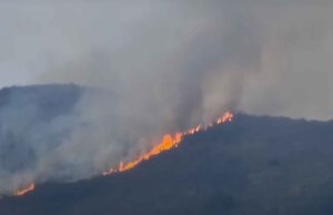 Incendio a Verezzo, evacuate alcune case Incendio a Verezzo, evacuate alcune case