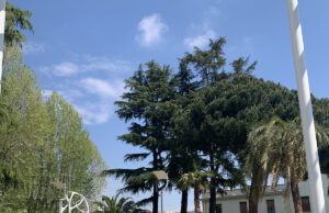 Diploma di istruzione tecnica superiore in efficienza degli impianti energetici Diploma di istruzione tecnica superiore in efficienza degli impianti energetici