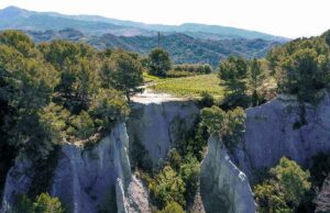 Da 5 Comuni liguri nasce il brand Terre del Rossese Da 5 comuni liguri nasce il brand Terre del Rossese