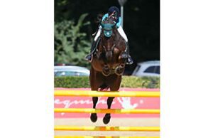 Equitazione, 3 Emme okay a Cattolica Equitazione - 3 Emme okay a Cattolica