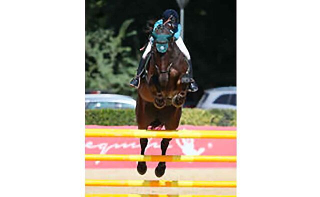 Equitazione - 3 Emme okay a Cattolica Equitazione - 3 Emme okay a Cattolica