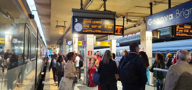 Ritardi e cancellazioni sulla linea ferroviaria Genova-La Spezia: per la caduta di un albero a Pieve Ligure Ritardi e cancellazioni sulla linea ferroviaria Genova-La Spezia: per la caduta di un albero a Pieve Ligure