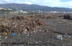 Chiavari, i privati possono raccogliere la legna sugli arenili Chiavari, i privati possono raccogliere la legna sugli arenili