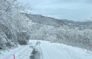 Disciplina della circolazione e La Spezia Disciplina della circolazione e la Spezia