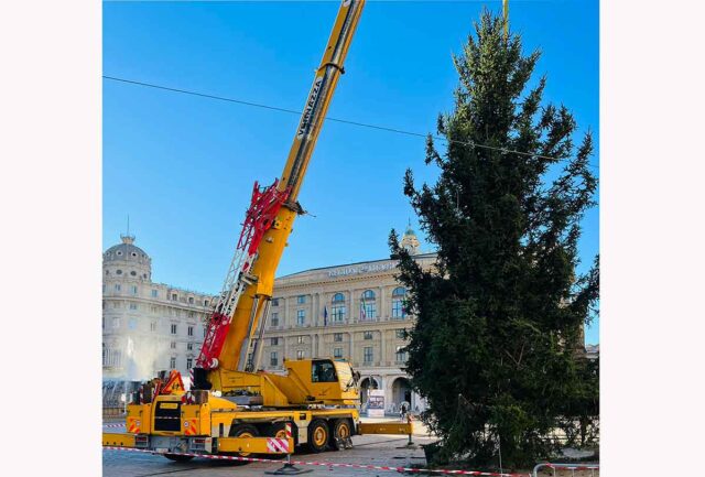 A De Ferrari da Ponte di Legno arriva l’albero di Natale A De Ferrari da Ponte di Legno, arriva l’albero di Natale