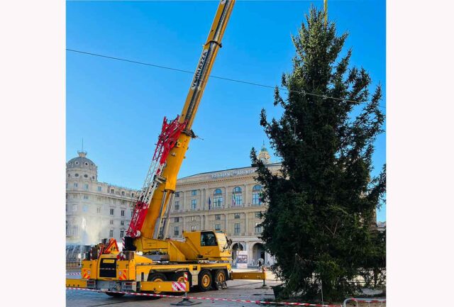A De Ferrari da Ponte di Legno, arriva l’albero di Natale