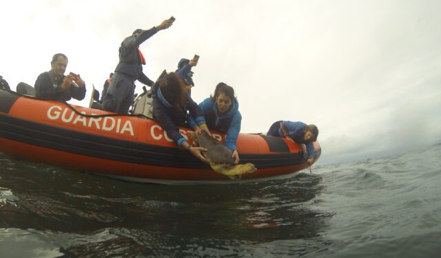 DCIM102GOPRO