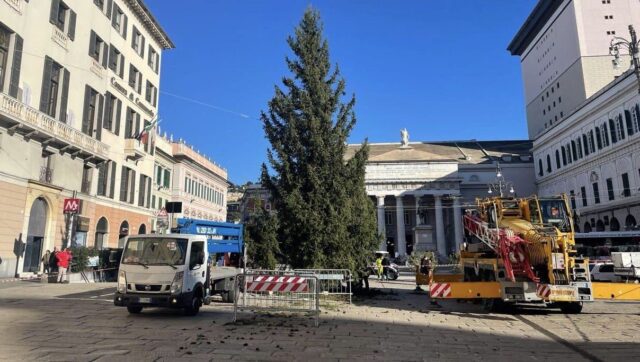 albero natale 2023