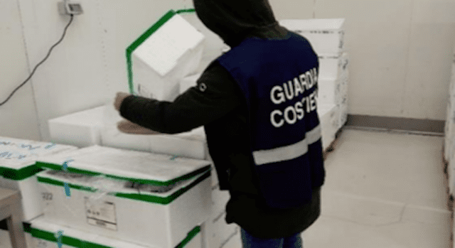 guardia costiera pesce sequestro
