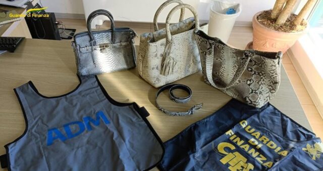 pitone guardia di finanza dogane