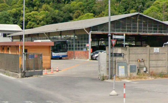 Donna morta dopo caduta dal bus ATP: assolto capo officina Donna morta dopo caduta dal bus ATP: assolto capo officina