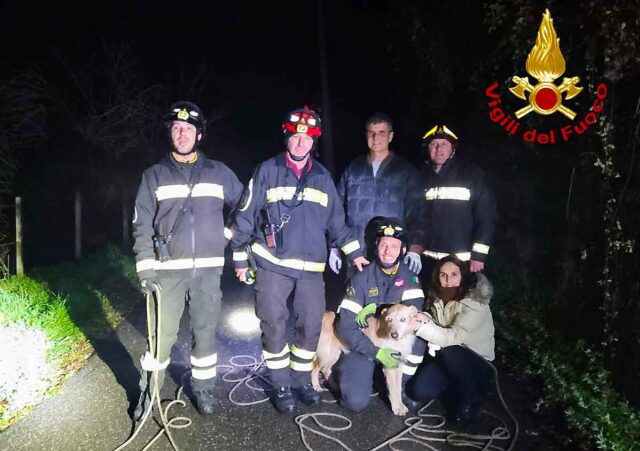 Davagna, cane finisce in un fosso: salvato dai VVF