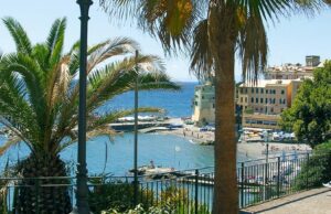 Con 40mila nuove piante si infoltirà il verde urbano e suburbano Con 40mila nuove piante, si infoltirà il verde urbano e suburbano