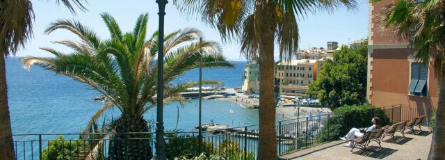 Con 40mila nuove piante, si infoltirà il verde urbano e suburbano Con 40mila nuove piante, si infoltirà il verde urbano e suburbano