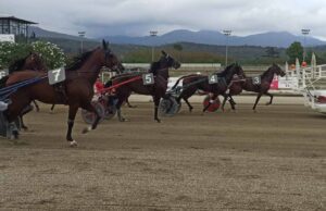 Guzzinati e Stefani protagonisti all’ Ippodromo dei Fiori Guzzinati e Stefani protagonisti all' Ippodromo dei Fiori