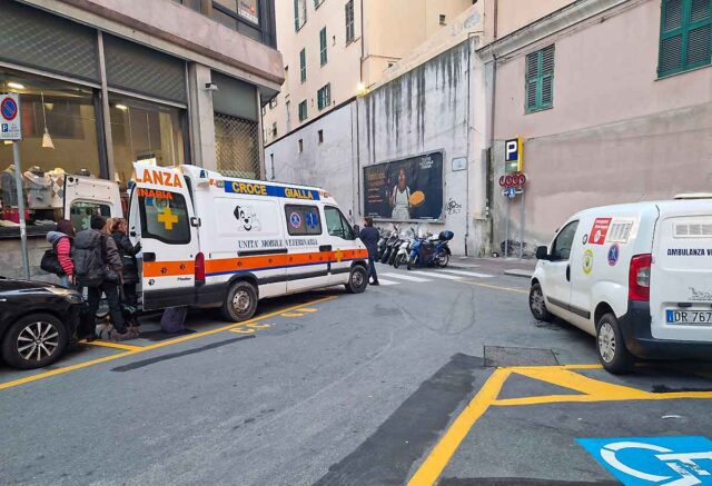 La Croce Gialla servizio animali in aiuto degli animali dei clochard