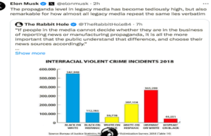 Crimini neri contro bianchi, Becchi: se Musk continua così avrà guai