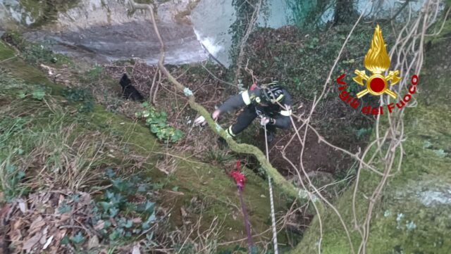 Cane finisce in una scarpata ai laghetti di Nervi: salvata dai VVF Cane finisce in una scarpata ai laghetti di Nervi: salvata dai VVF