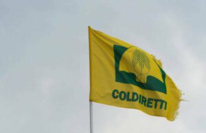 Coldiretti, la Liguria è un perfetto intreccio di tradizione e peculiarità Coldiretti, la Liguria è un perfetto intreccio di tradizione e peculiarità