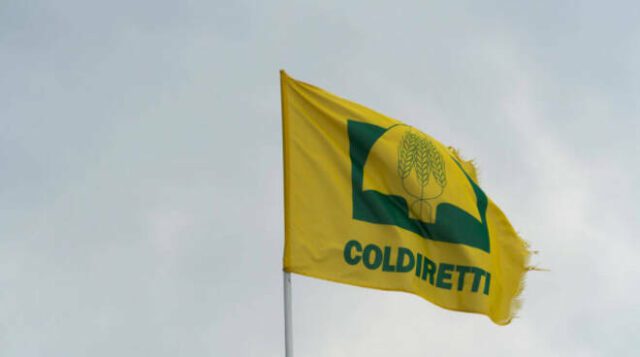 Coldiretti, la Liguria è un perfetto intreccio di tradizione e peculiarità Coldiretti, la Liguria è un perfetto intreccio di tradizione e peculiarità