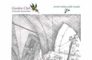 Tutto pronto per il Festival delle Camelie a Sorrento