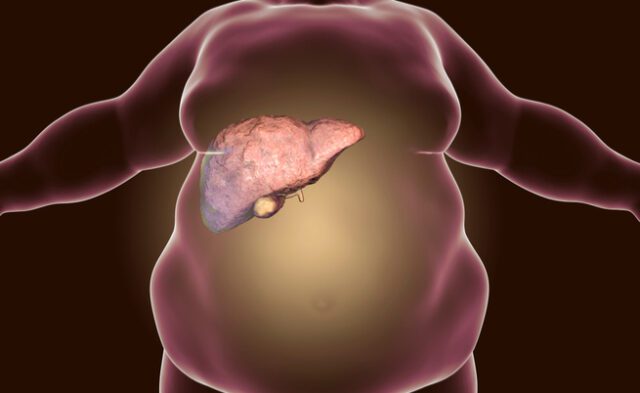 Al San Martino trapiantato un fegato conservando la circolazione del sangue Al San Martino trapiantato un fegato conservando la circolazione del sangue