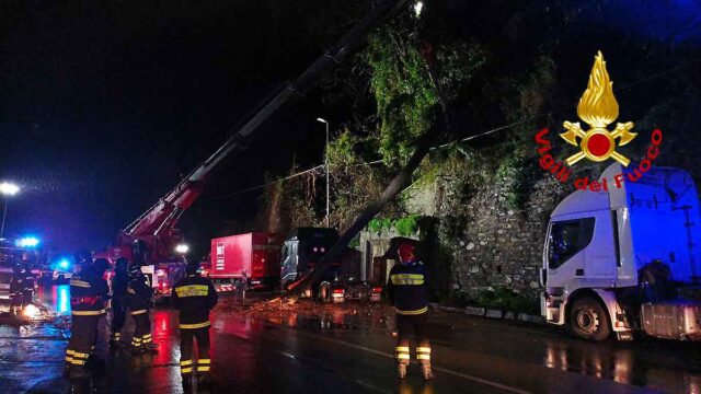 Corso Perrone, i VVF intervengono per grosso albero caduto