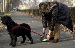 Recco, controlli rigorosi su rifiuti e deiezioni canine Recco, istituiti gli eco-ausiliari, giro di vite su rifiuti e deiezioni canine.