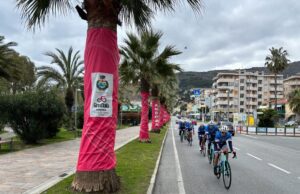 Le palme della passeggiata a mare di Andora vestite di rosa Il Giro d’Italia ad Andora, i parcheggi e i percorsi alternativi