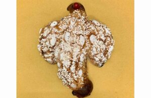 Tagliafico racconta le sue colombe storiche Tagliafico racconta le sue colombe storiche