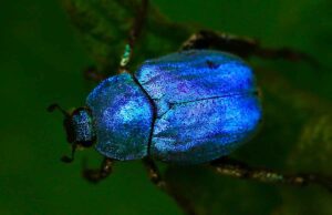 Da scarabeo a Uno: i giochi da tavolo da fare a Pasqua Da scarabeo a Uno: i giochi da tavolo da fare a Pasqua