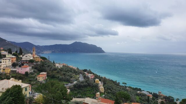 L’operazione della Polizia Locale tra Darsena e via Gramsci L’operazione della Polizia Locale tra Darsena e via Gramsci