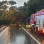 Maltempo a Genova: alberi caduti e interventi di emergenza